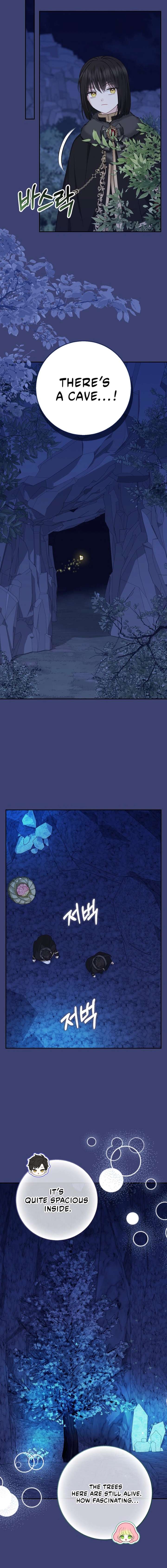 Baby Snow Leopard of the Black Leopard Family Chapter 61 - Page 12