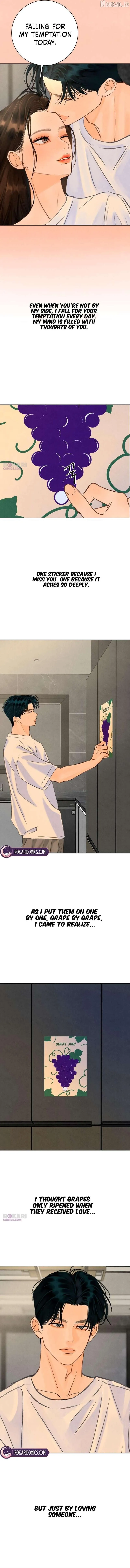 Before The grapes Ripen Chapter 42 - Page 5