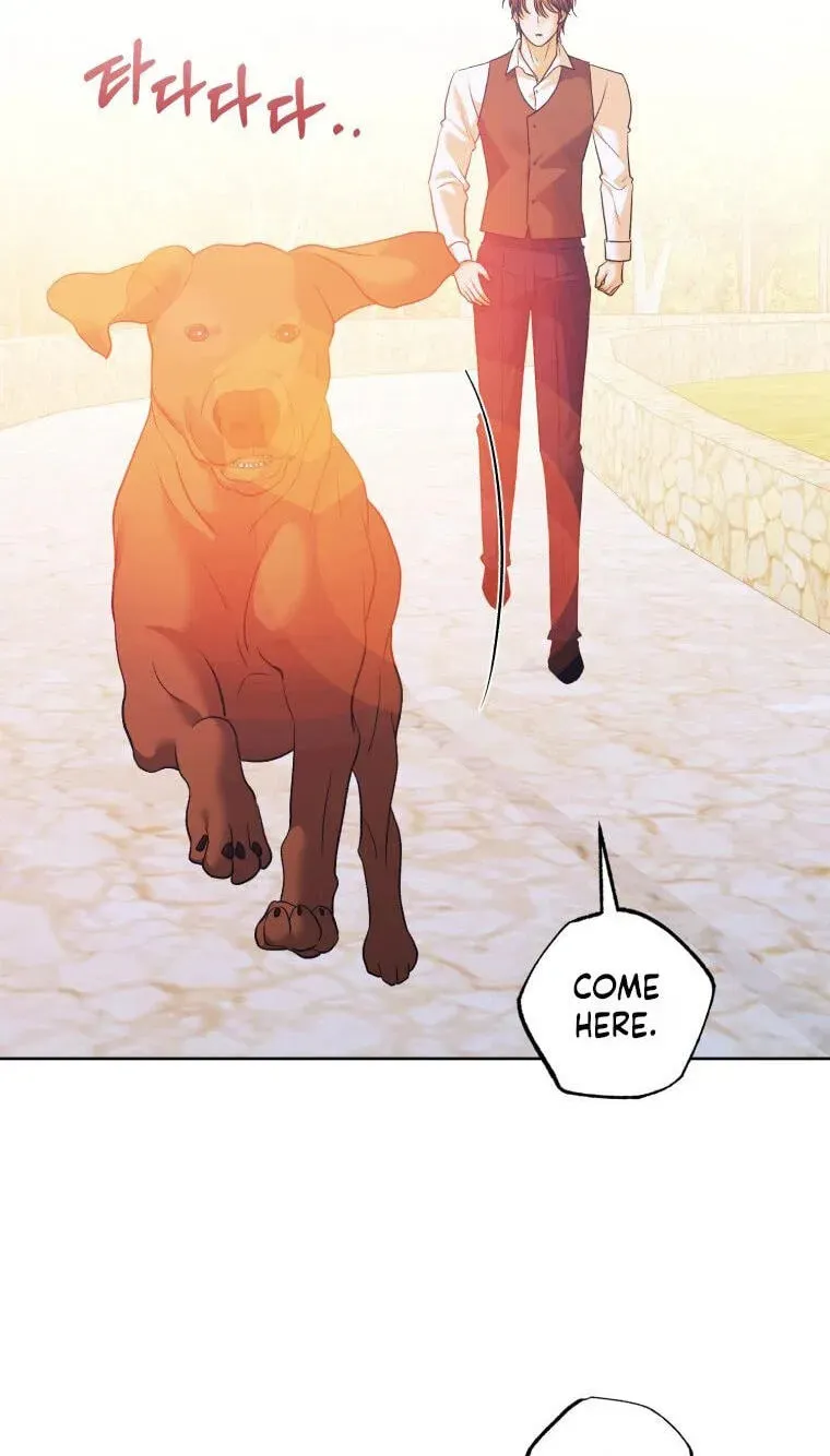 Bitten by the Dog I Abandoned Chapter 119 - Page 50