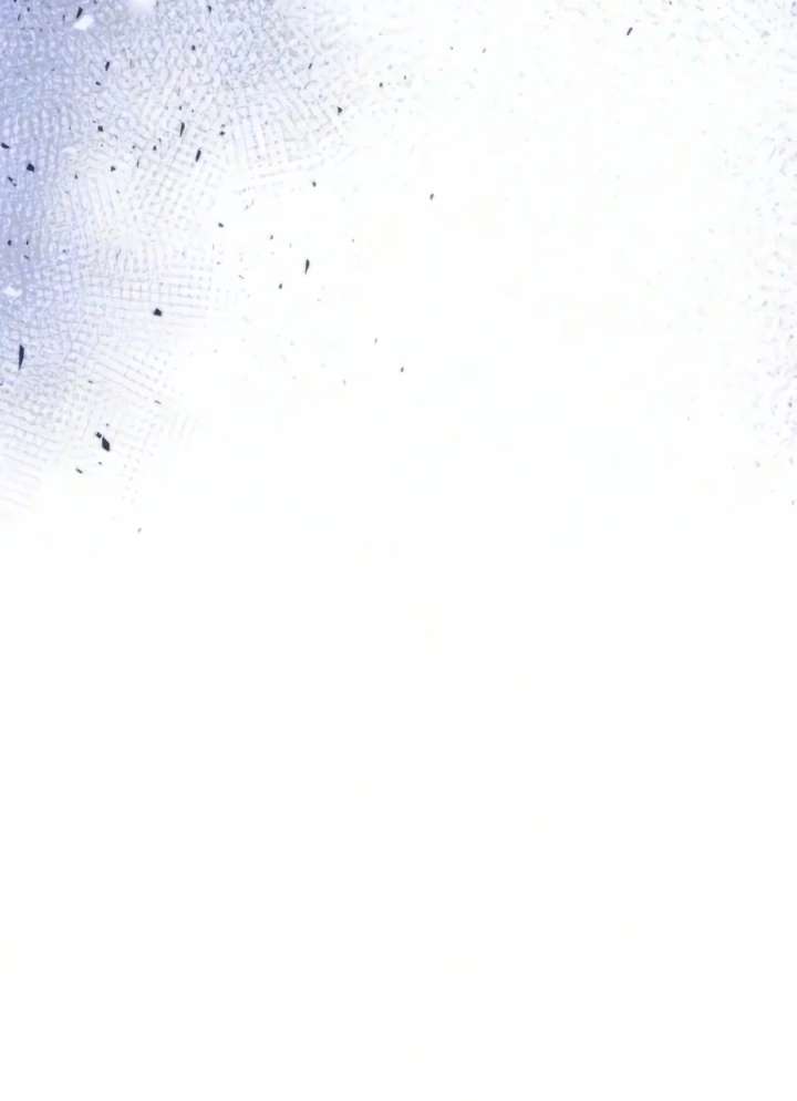 Chronicles of the Demon Faction Chapter 171 - Page 31