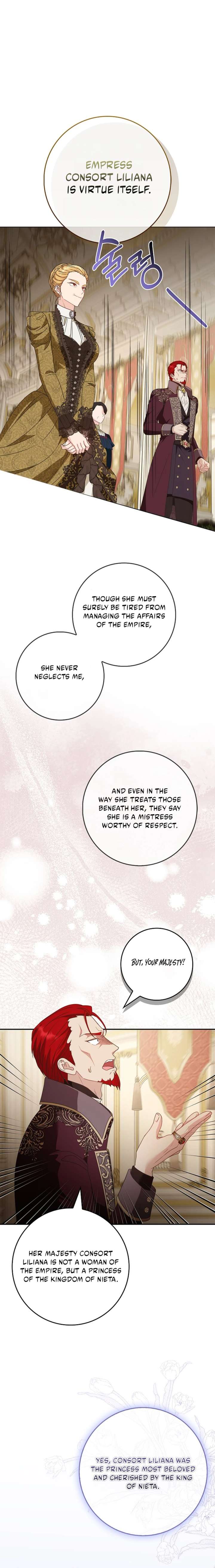 Do All Mothers in Childcare Novels have to Die? Chapter 65 - Page 17