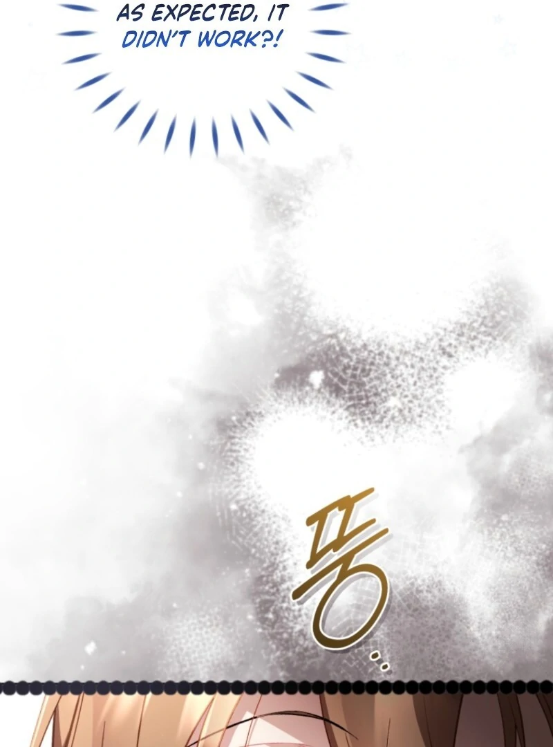 Don’t Worry, We Both Agreed to this Fraudulent Marriage Chapter 38 - Page 17