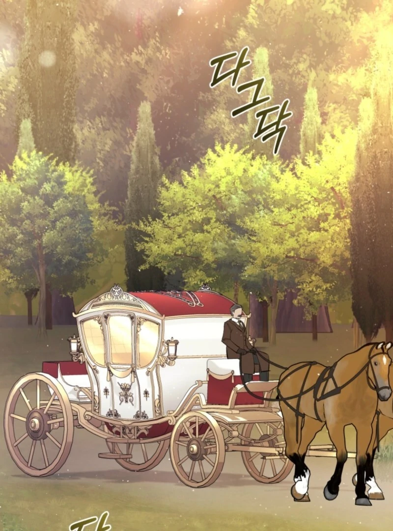 Don’t Worry, We Both Agreed to this Fraudulent Marriage Chapter 43 - Page 25