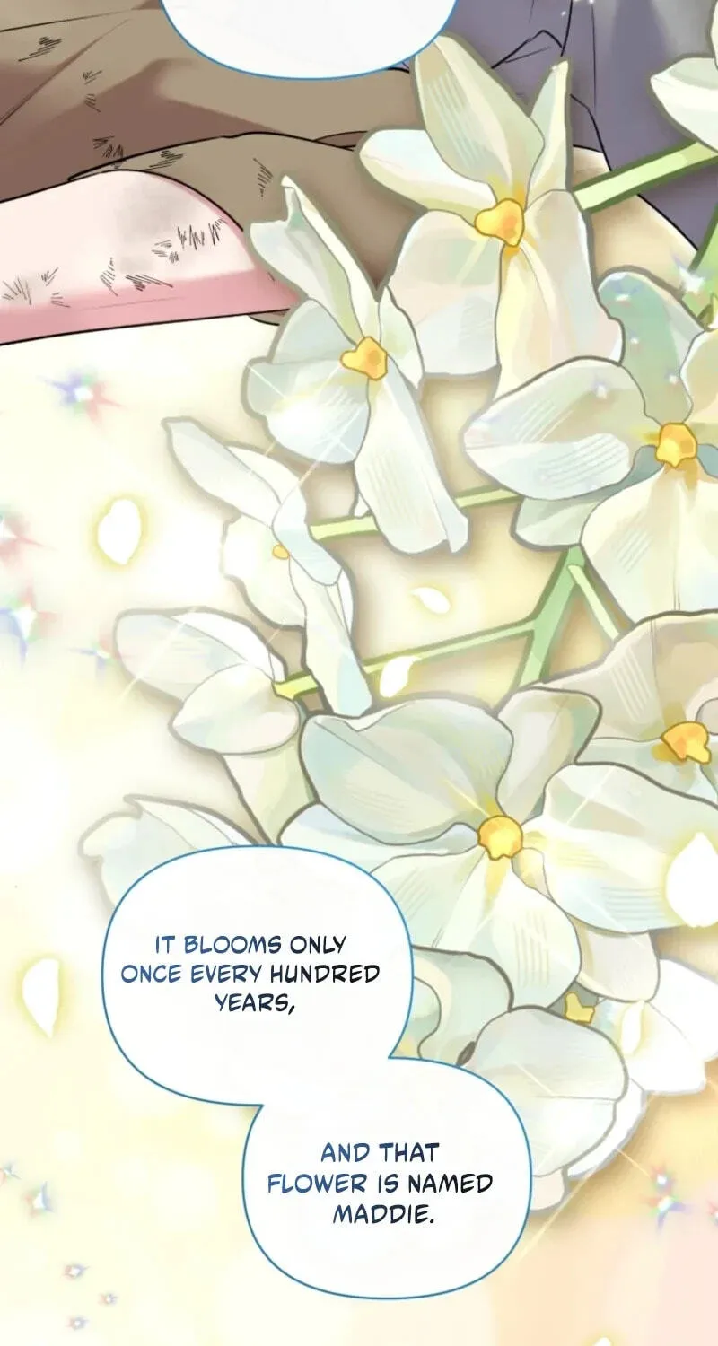 Don’t Worry, We Both Agreed to this Fraudulent Marriage Chapter 75 - Page 3