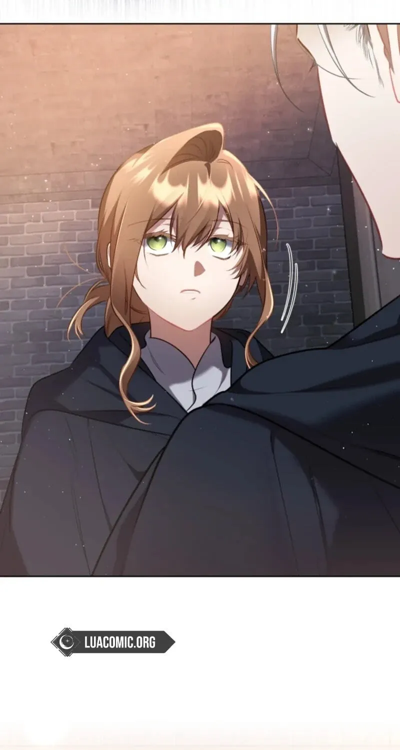 Don’t Worry, We Both Agreed to this Fraudulent Marriage Chapter 75 - Page 37