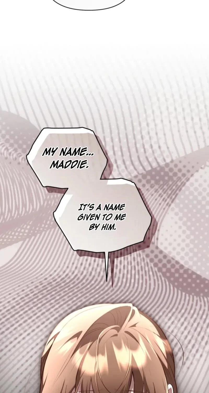 Don’t Worry, We Both Agreed to this Fraudulent Marriage Chapter 75 - Page 63