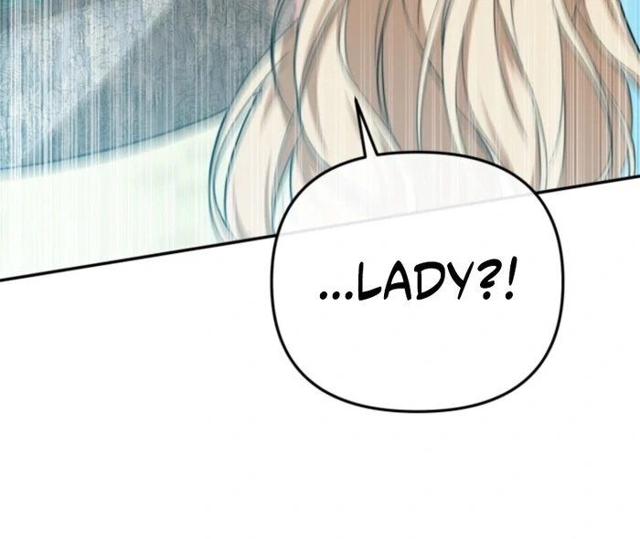 Even if I Hide My Power, the Noble Lady Is the Strongest Chapter 20 - Page 66