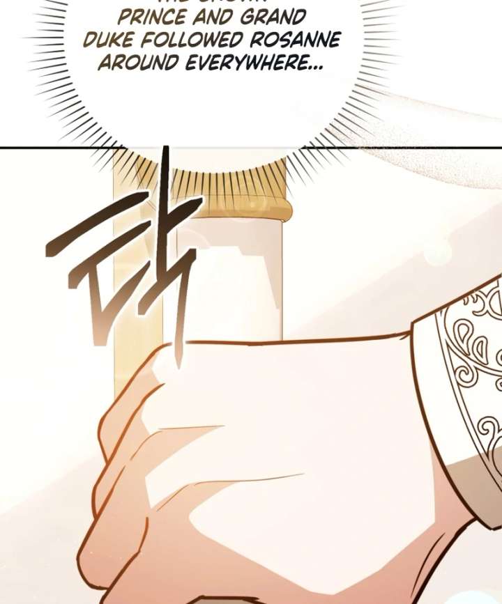 Even if I Hide My Power, the Noble Lady Is the Strongest Chapter 25 - Page 17