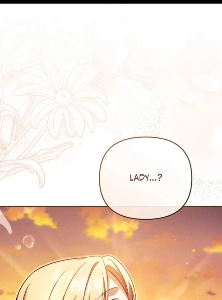 Even if I Hide My Power, the Noble Lady Is the Strongest Chapter 27 - Page 1