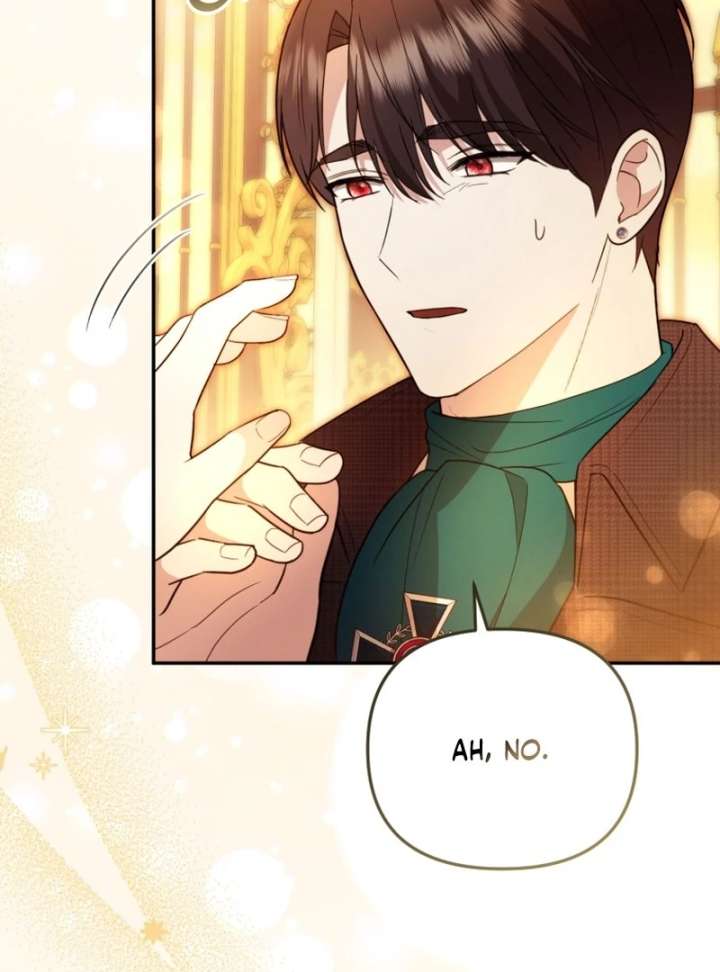 Even if I Hide My Power, the Noble Lady Is the Strongest Chapter 27 - Page 17