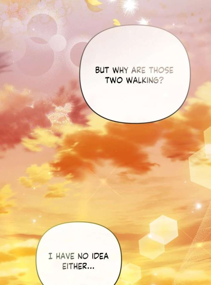 Even if I Hide My Power, the Noble Lady Is the Strongest Chapter 27 - Page 27