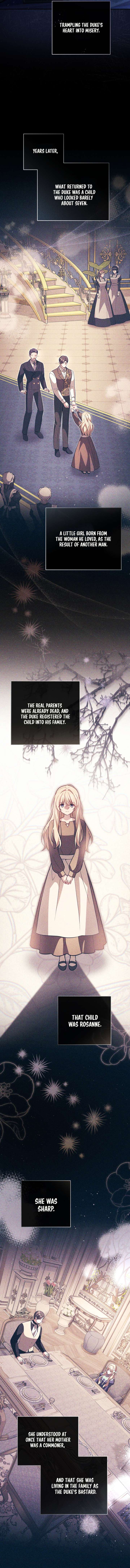 Even if I Hide My Power, the Noble Lady Is the Strongest Chapter 37 - Page 11