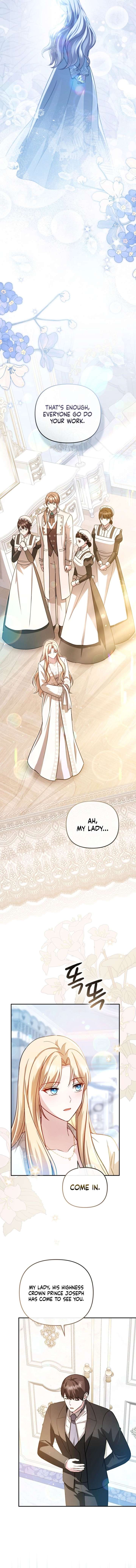 Even if I Hide My Power, the Noble Lady Is the Strongest Chapter 40 - Page 11