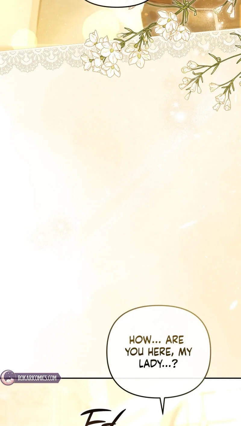 Even if I Hide My Power, the Noble Lady Is the Strongest Chapter 43 - Page 11