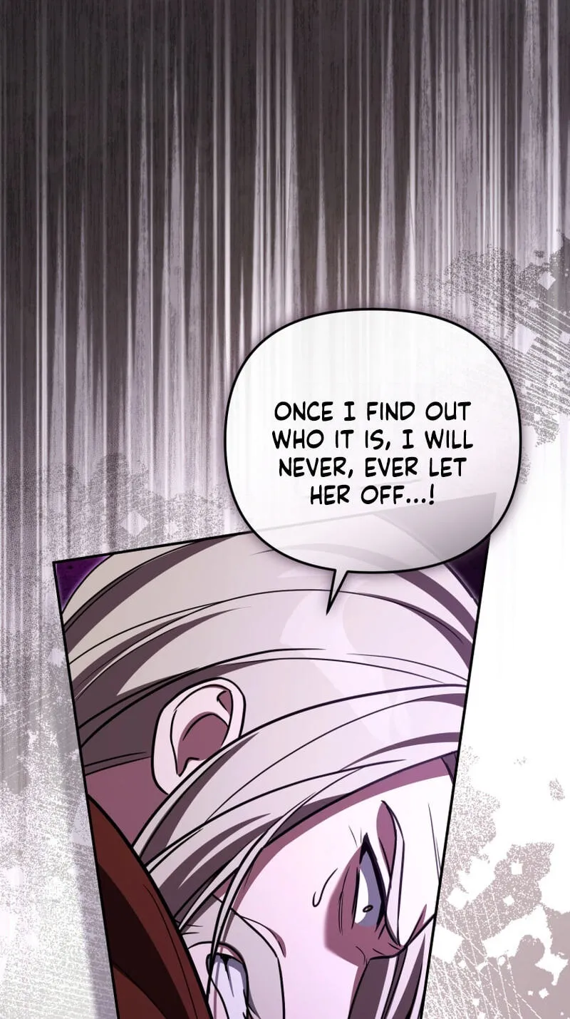 Even if I Hide My Power, the Noble Lady Is the Strongest Chapter 45 - Page 8