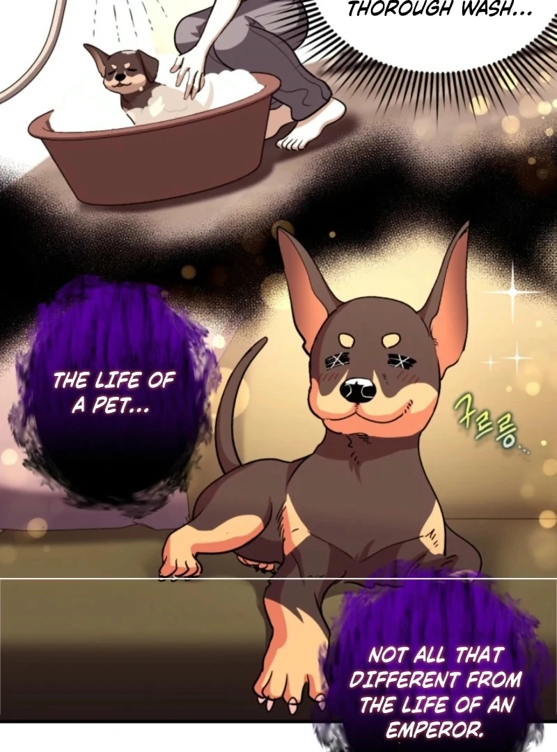 Even the Almighty Is a First-Time Dad Chapter 21 - Page 81