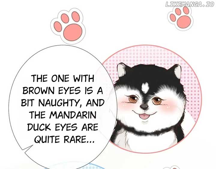 Everyone’s Darling Chapter 149 - Page 46