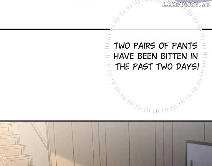 Everyone’s Darling Chapter 150 - Page 27