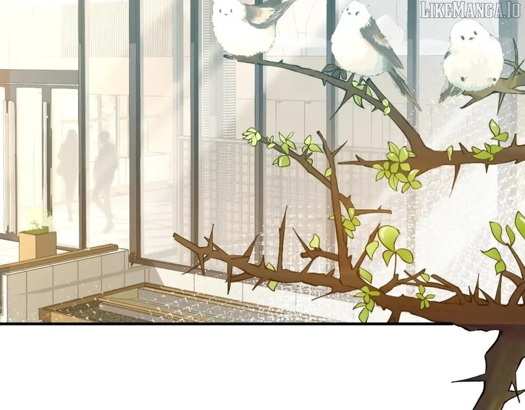 Everyone’s Darling Chapter 171 - Page 40