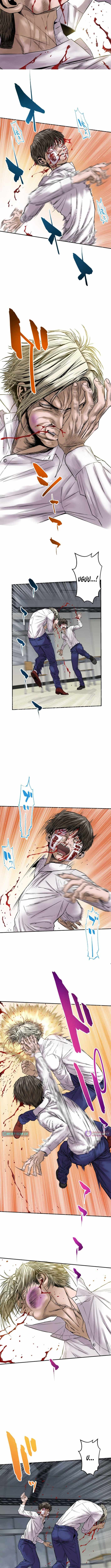 Fight Rankings: The Weakest Me Climbs the Fighting Strongest Rankings Just by Drawing Chapter 11 - Page 2