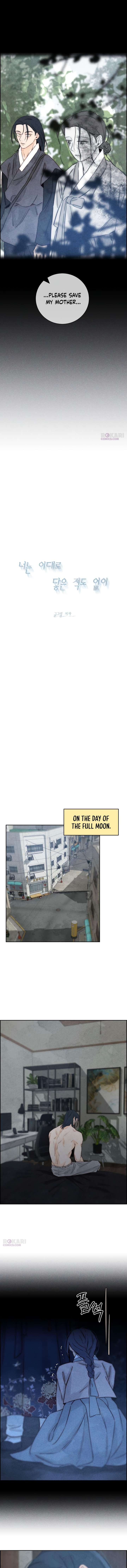 Forever out of reach Chapter 23 - Page 15