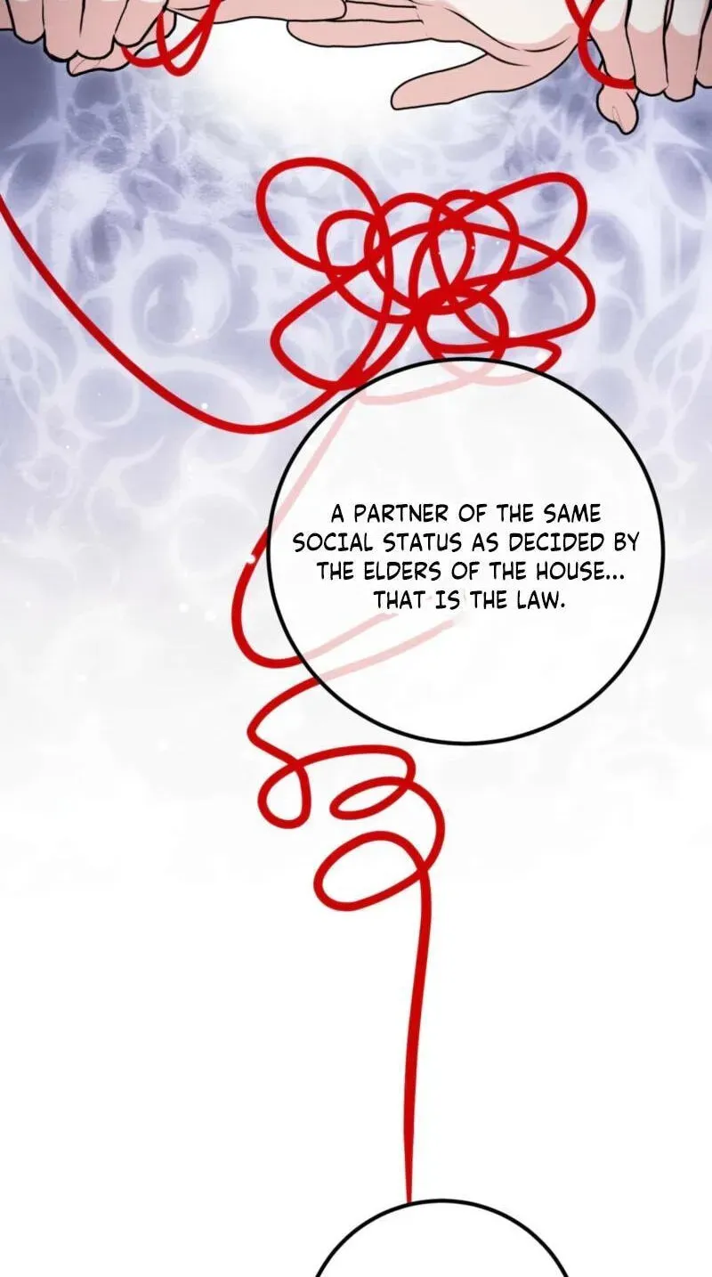 Forget Marriage, I’d Rather Go Bankrupt Chapter 62 - Page 38