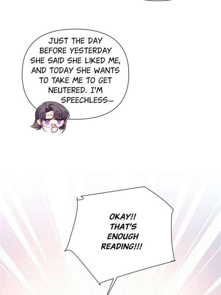 Her Marriage Was Called Off at Daytime, the Cutely Fierce Commander Asked Her For a Hug at Night Chapter 152 - Page 5
