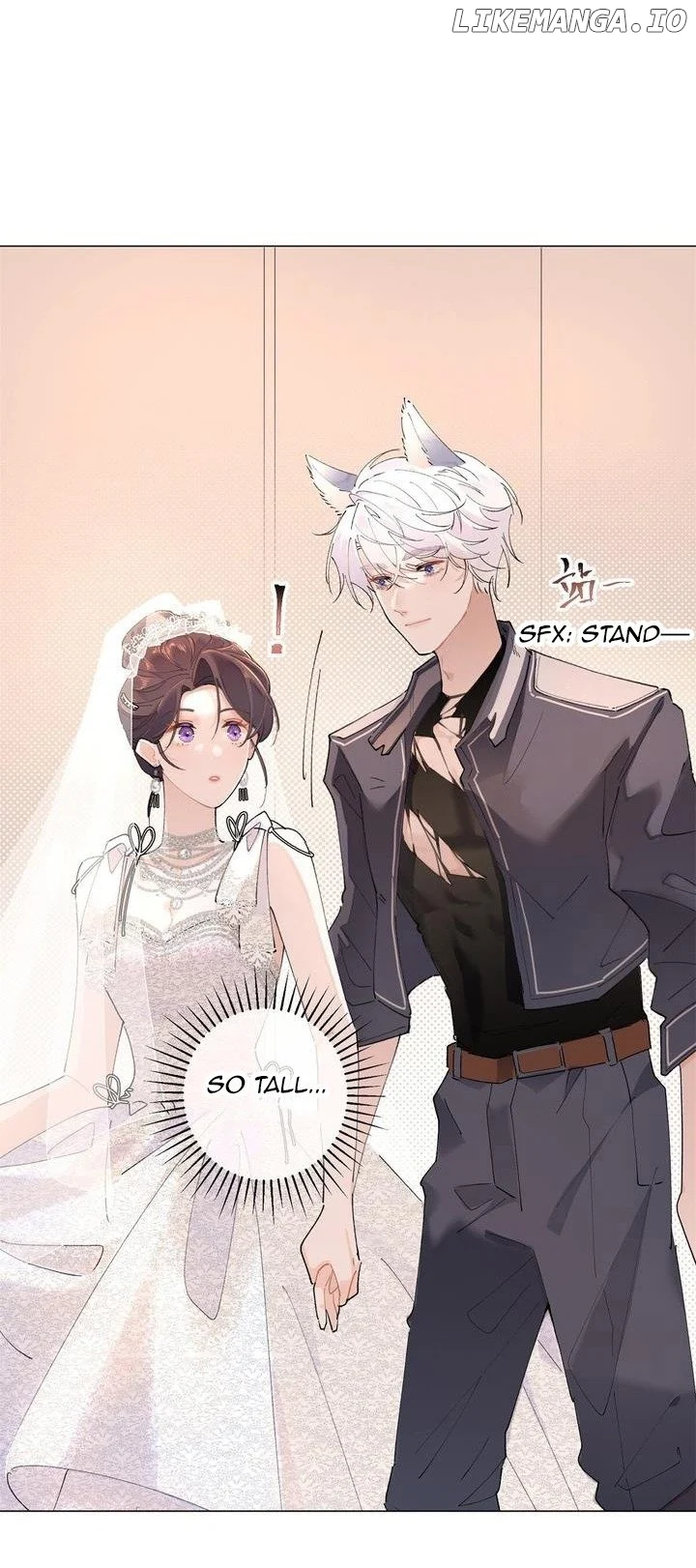 Her Marriage Was Called Off at Daytime, the Cutely Fierce Commander Asked Her For a Hug at Night Chapter 3 - Page 8