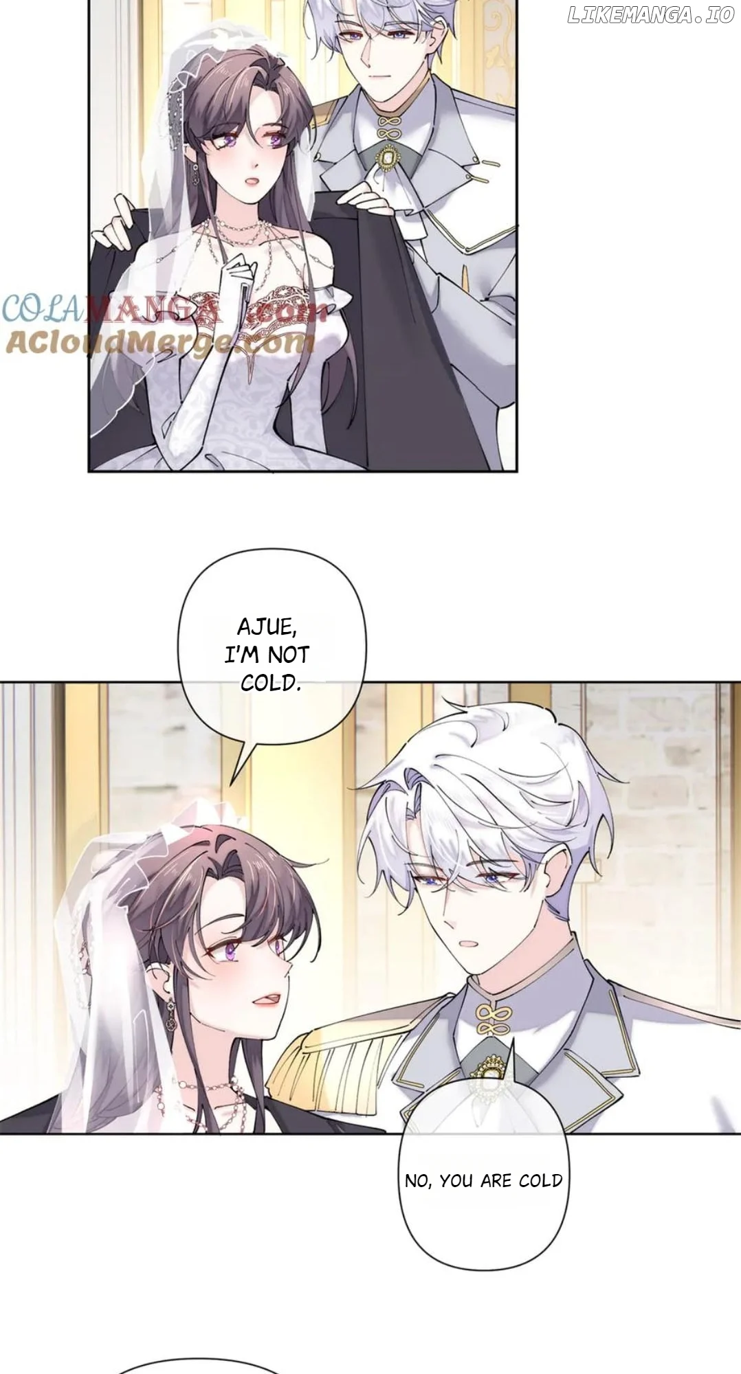 Her Marriage Was Called Off at Daytime, the Cutely Fierce Commander Asked Her For a Hug at Night Chapter 68 - Page 15