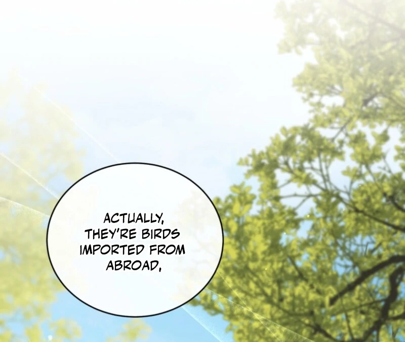 Honey, I Believe That’s Your Misunderstanding Chapter 31 - Page 33