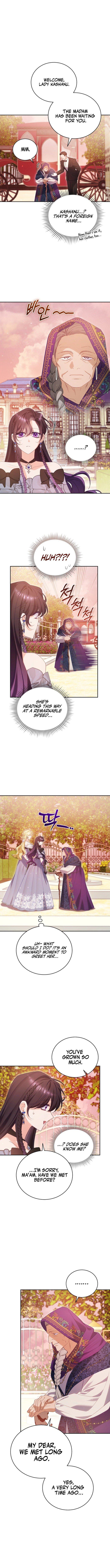 Honey, I Believe That’s Your Misunderstanding Chapter 32 - Page 3