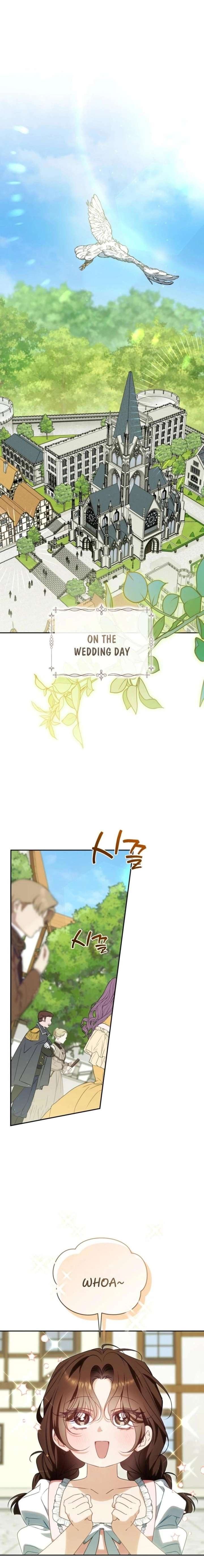 Honey, I Believe That’s Your Misunderstanding Chapter 45 - Page 1
