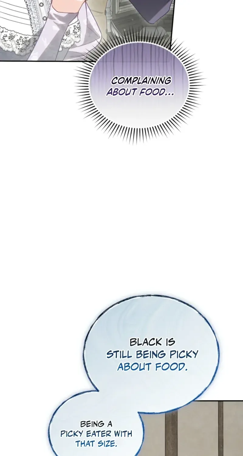 Honey, I Believe That’s Your Misunderstanding Chapter 60 - Page 40