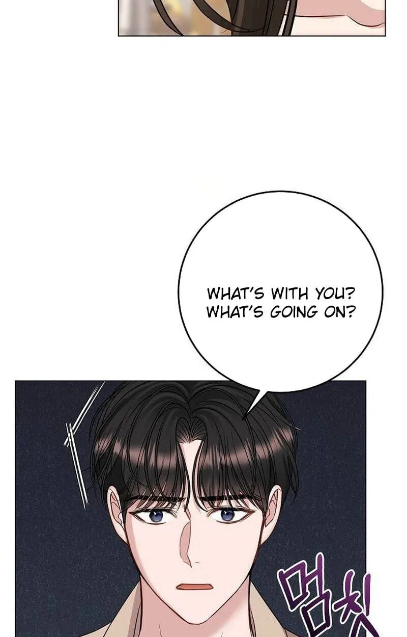 I Don’t Recommend Making a Mistake With Your Male Friend Chapter 19 - Page 42