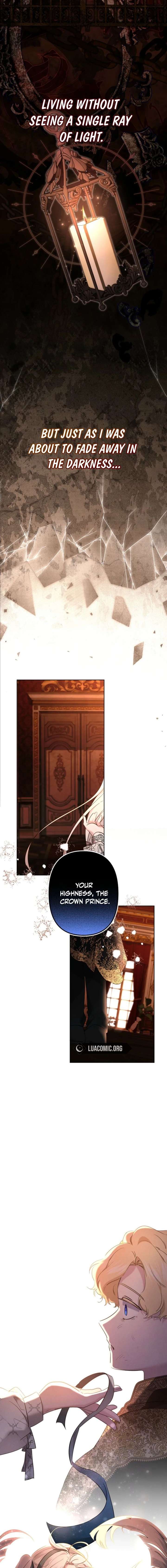 I Need to Raise My Sister Properly Chapter 141 - Page 3