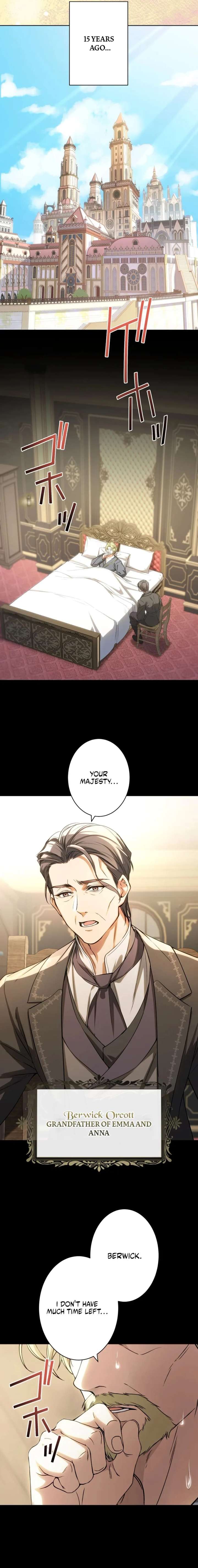 I Was Reincarnated as the Villainess’s Sister Chapter 15 - Page 3