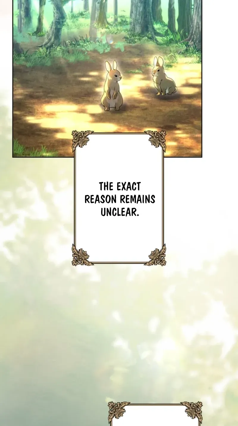 I Was Reincarnated as the Villainess’s Sister Chapter 28 - Page 22