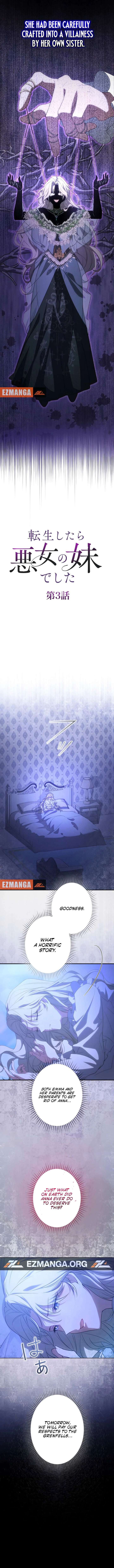 I Was Reincarnated as the Villainess’s Sister Chapter 3 - Page 3