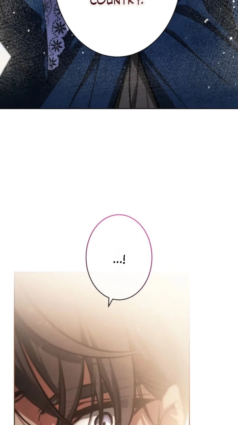 I Was Reincarnated as the Villainess’s Sister Chapter 31 - Page 42