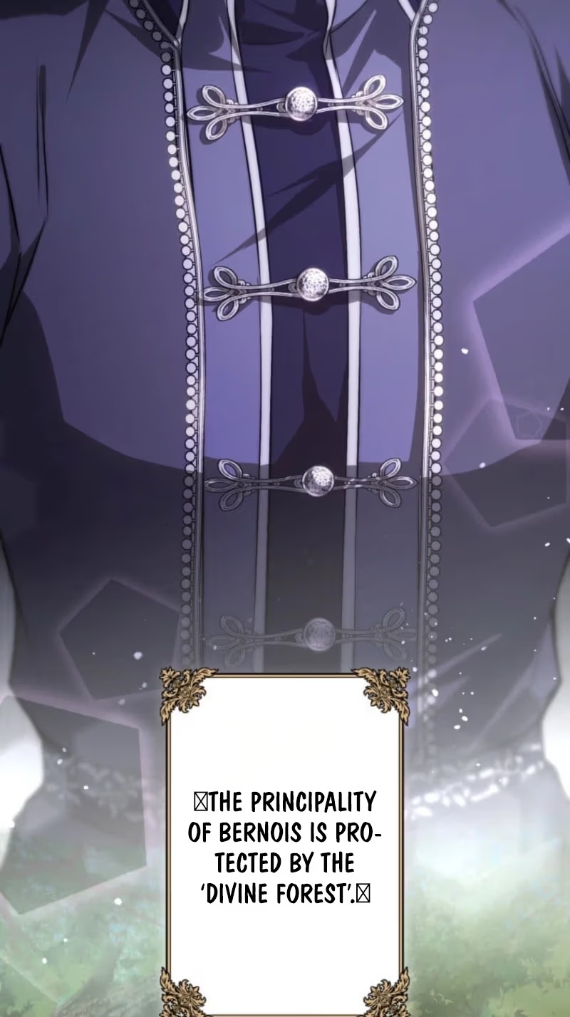 I Was Reincarnated as the Villainess’s Sister Chapter 31 - Page 46
