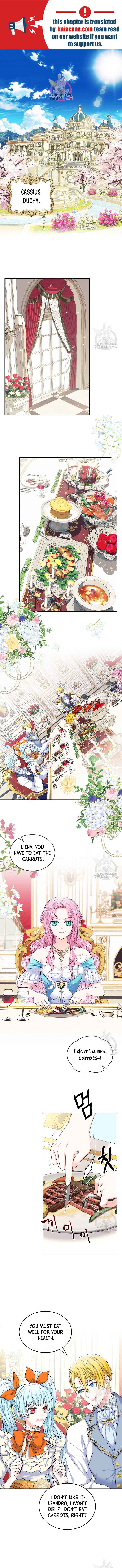 I Will Divorce the Female Lead’s Siscon Brother Chapter 1 - Page 1