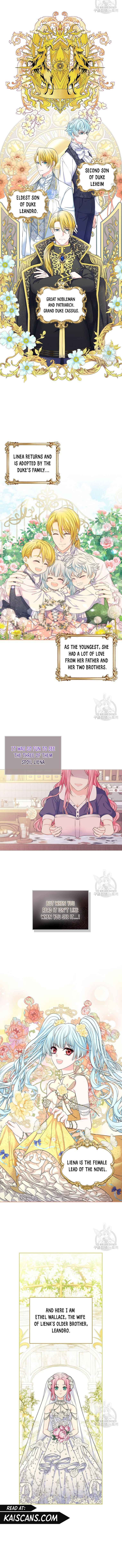 I Will Divorce the Female Lead’s Siscon Brother Chapter 1 - Page 7