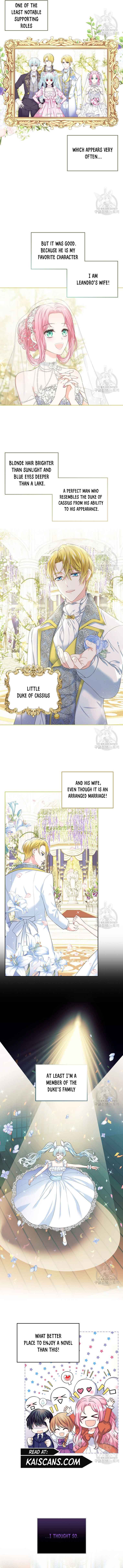 I Will Divorce the Female Lead’s Siscon Brother Chapter 1 - Page 8