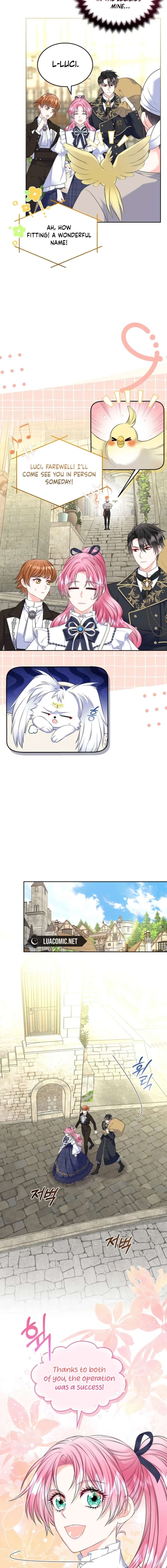 I Will Divorce the Female Lead’s Siscon Brother Chapter 100 - Page 4