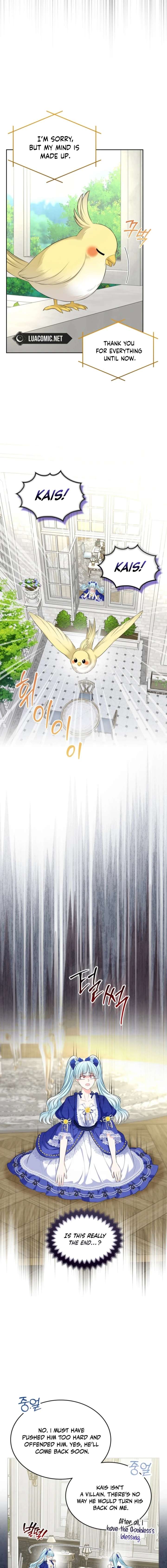 I Will Divorce the Female Lead’s Siscon Brother Chapter 100 - Page 11