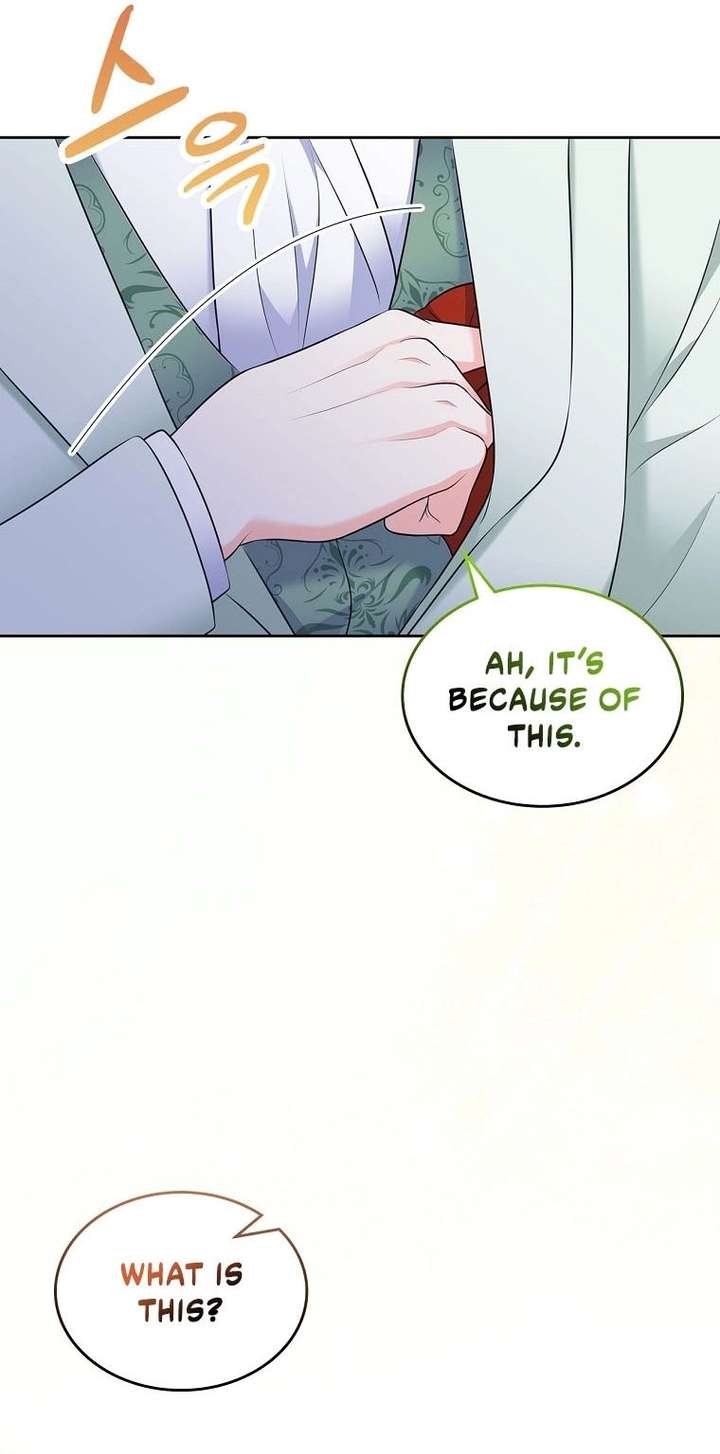 I Will Divorce the Female Lead’s Siscon Brother Chapter 102 - Page 42