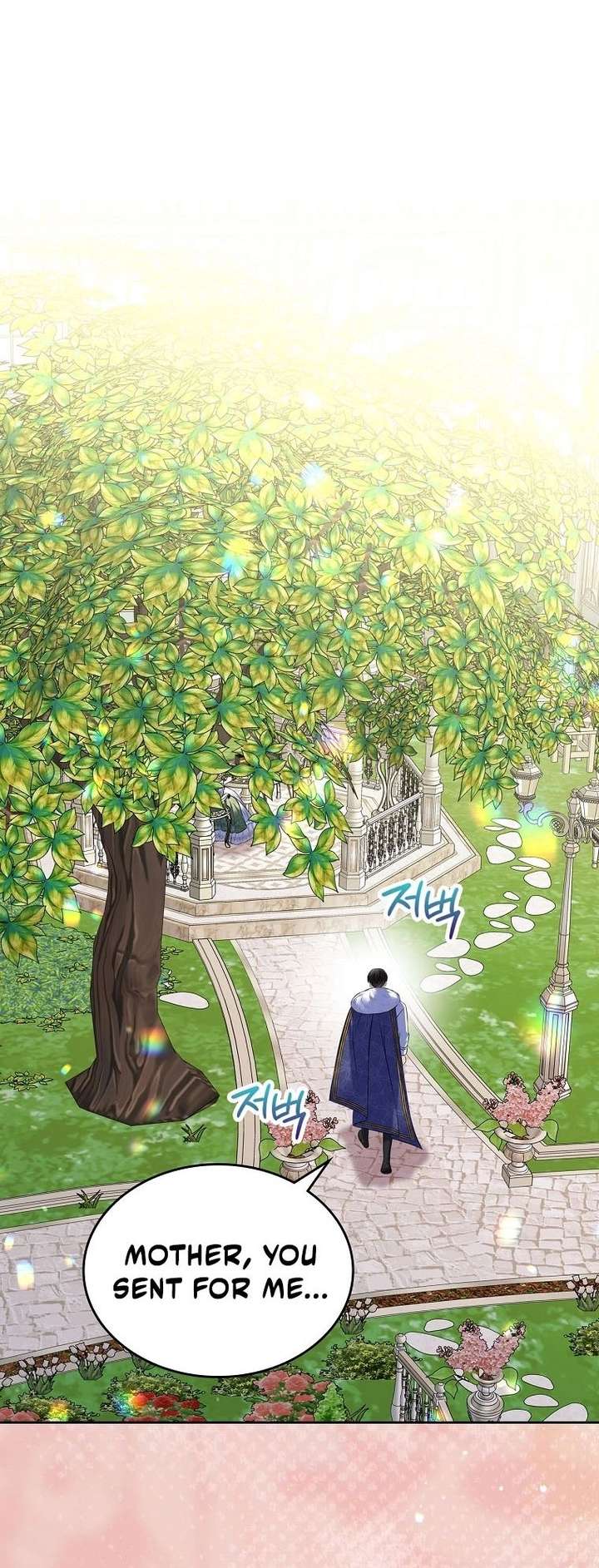 I Will Divorce the Female Lead’s Siscon Brother Chapter 102 - Page 58