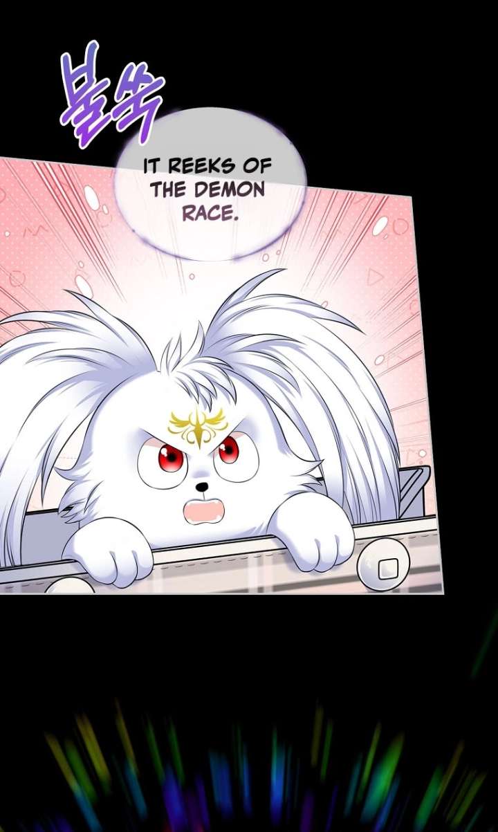 I Will Divorce the Female Lead’s Siscon Brother Chapter 106 - Page 25