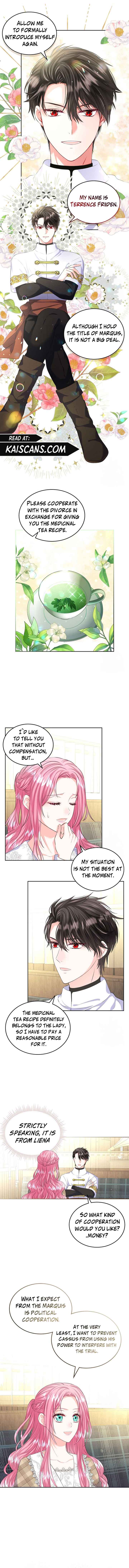 I Will Divorce the Female Lead’s Siscon Brother Chapter 14 - Page 3