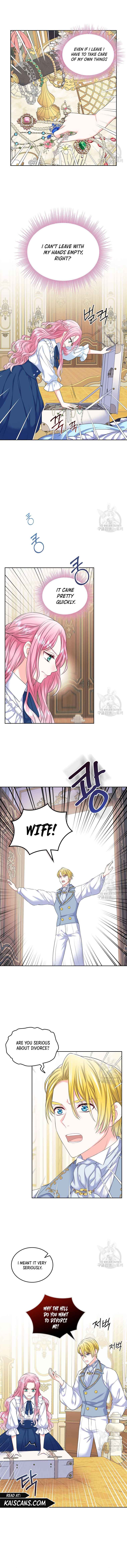 I Will Divorce the Female Lead’s Siscon Brother Chapter 2 - Page 2
